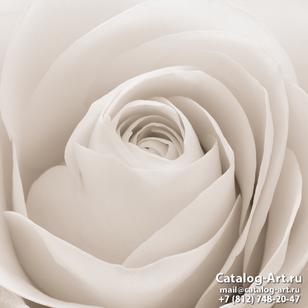 Натяжные потолки с фотопечатью - Белые розы 47